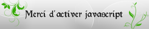 Activer javascript
